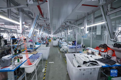 湖州童装之都 以辅料制造为基石，从“做产品”到“创品牌”的产业升级之路